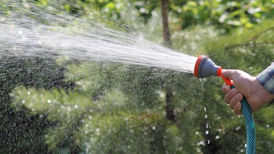 Anglia: Ograniczenia dotyczące korzystania z bieżącej wody weszły w życie!