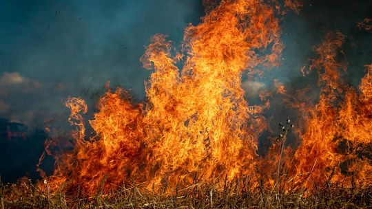 "Bardzo wysokie" ryzyko pożarów w Anglii i Walii