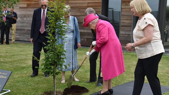 Brytyjczycy zasadzą drzewka z okazji 70 rocznicy objęcia tronu przez Elżbietę II
