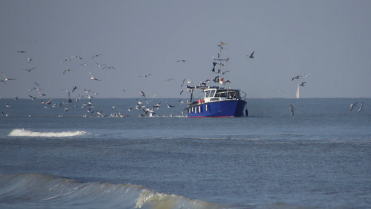 Dla Johnsona rybołówstwo to polityczny symbol suwerenności UK – twierdzą rybacy z UE