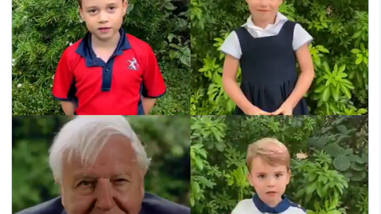 Dzieci Cambridge’ów z Davidem Attenborough we wspólnym filmie - video