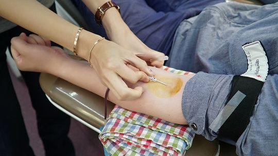 Homoseksualni dawcy krwi łamią prawo