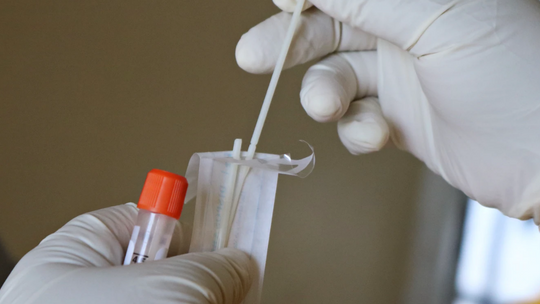 Liverpool: Masowe testy na koronawirusa