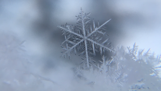 Odnotowano pierwsze rekordy mrozu tej zimy