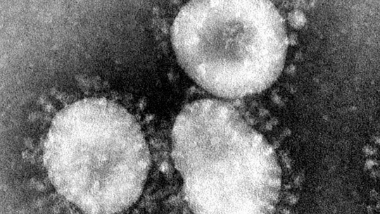 Pięcioletnie dziecko najmłodszą ofiarą koronawirusa