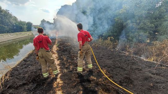 Rośnie liczba pożarów zielonych terenów