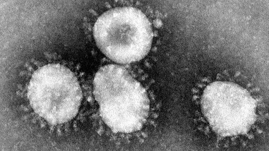 Świata czeka pandemia koronawirusa?!