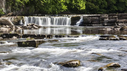 Tłum imprezowiczów bawił się na obszarze chronionym Richmond Falls w North Yorkshire