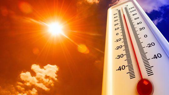 UK: Temperatura powietrza przekroczyła 40 °C!