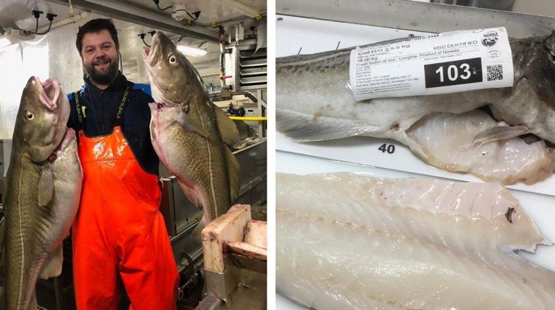Brexit uderzy również w norweskich rybaków