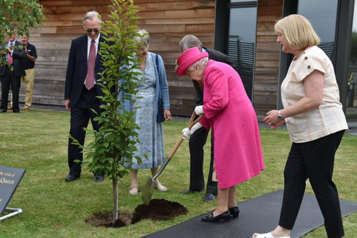 Brytyjczycy zasadzą drzewka z okazji 70 rocznicy objęcia tronu przez Elżbietę II