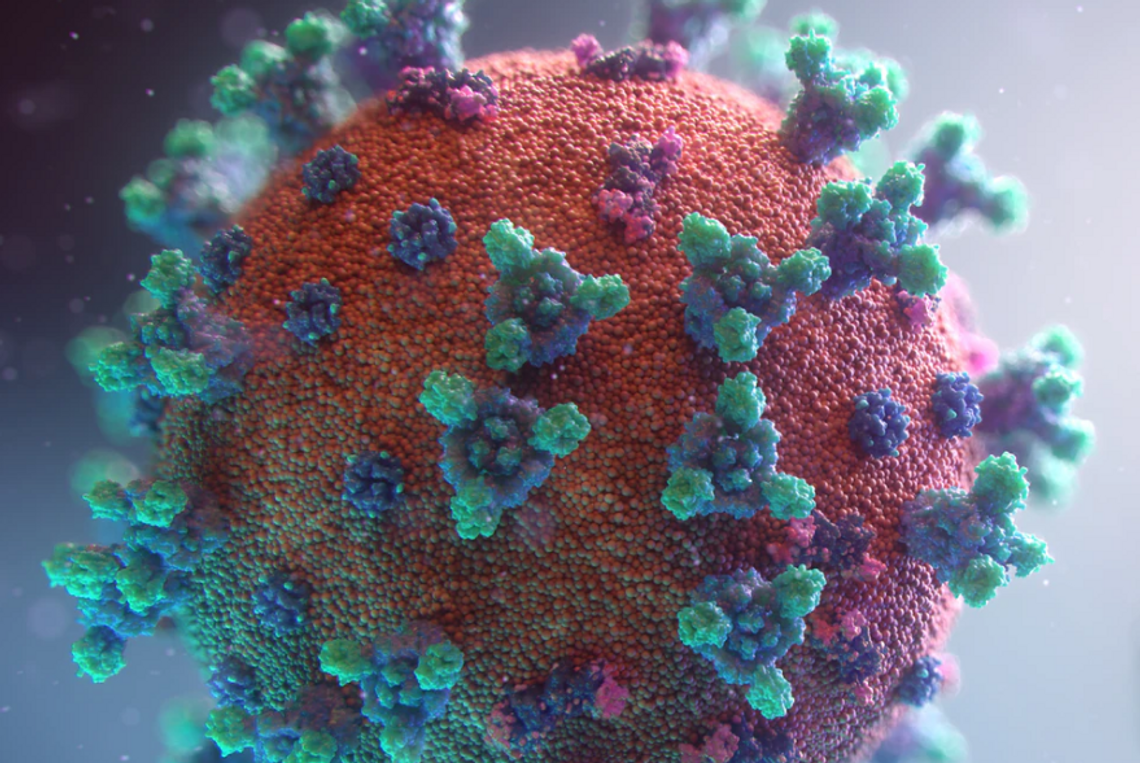 Brytyjski minister ds. szczepień: Istnieje około 4 tys. wariantów wirusa powodującego Covid-19