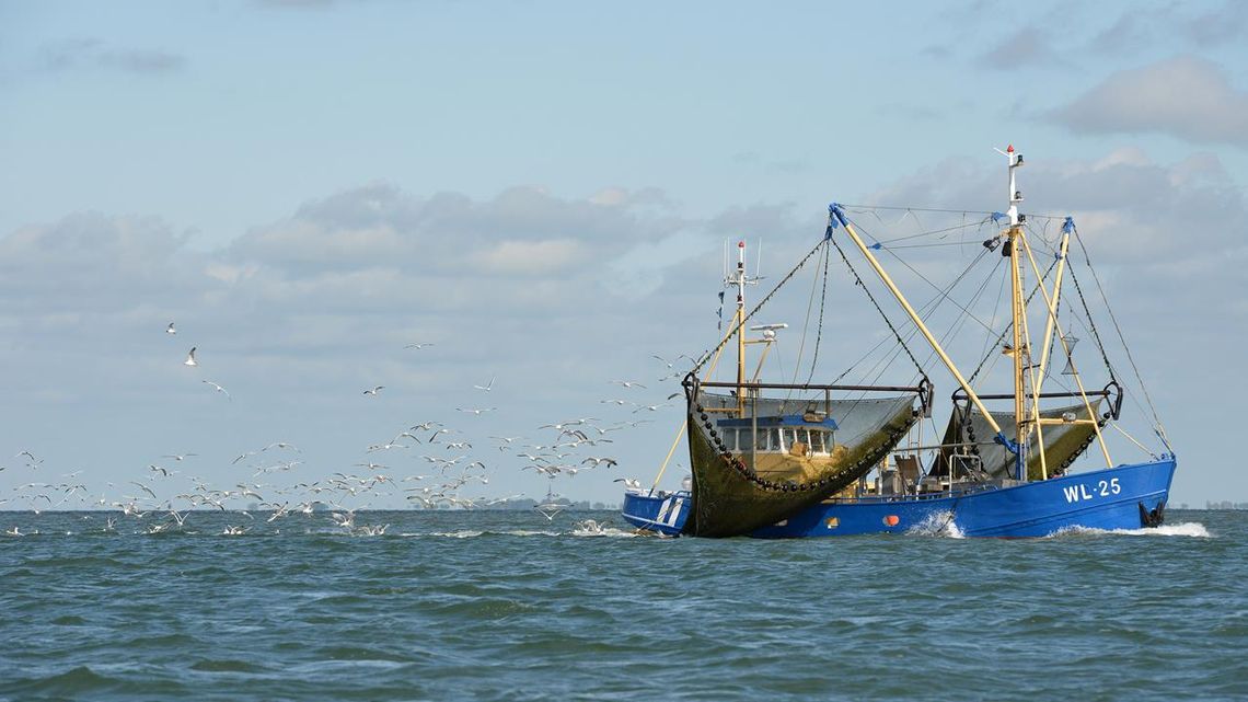 Brytyjski trawler wypuszczony przez francuskie władze