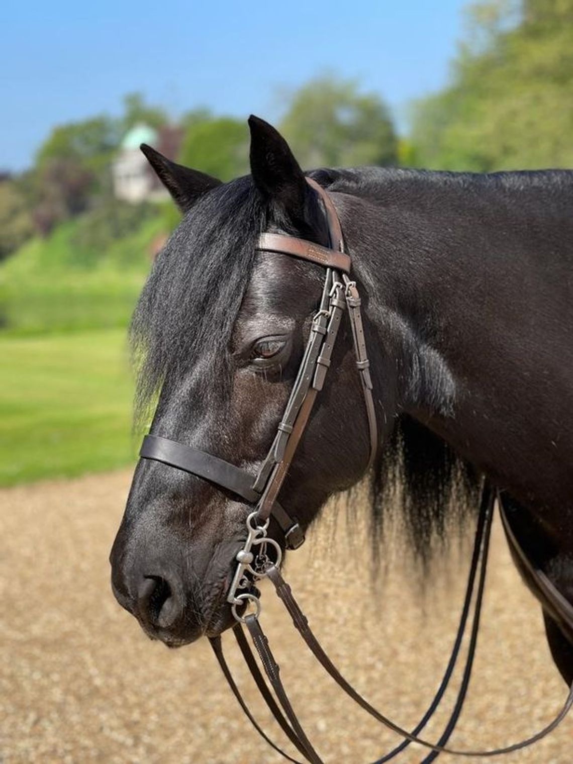 Pałac Buckingham opublikował zdjęcie ulubionego konie Elżbiety II