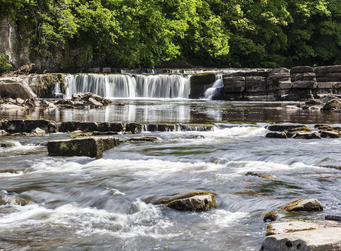 Tłum imprezowiczów bawił się na obszarze chronionym Richmond Falls w North Yorkshire