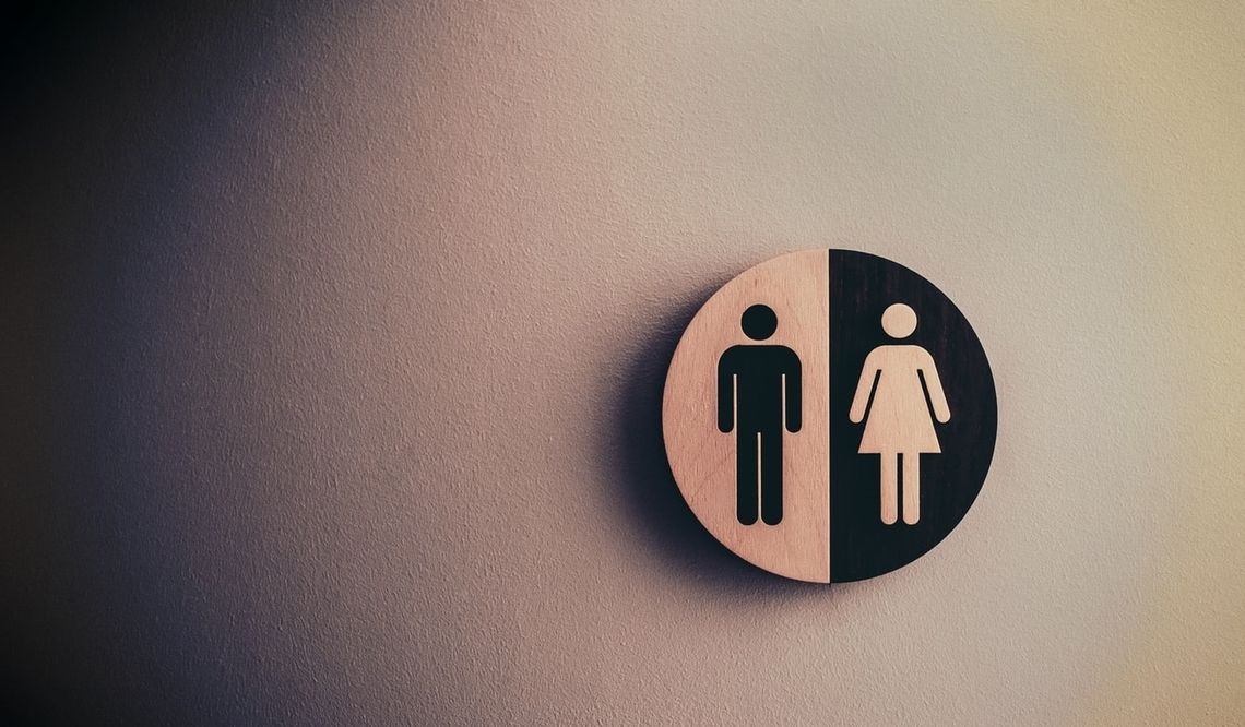 Toaleta „przegoni” osoby uprawiające w niej sex