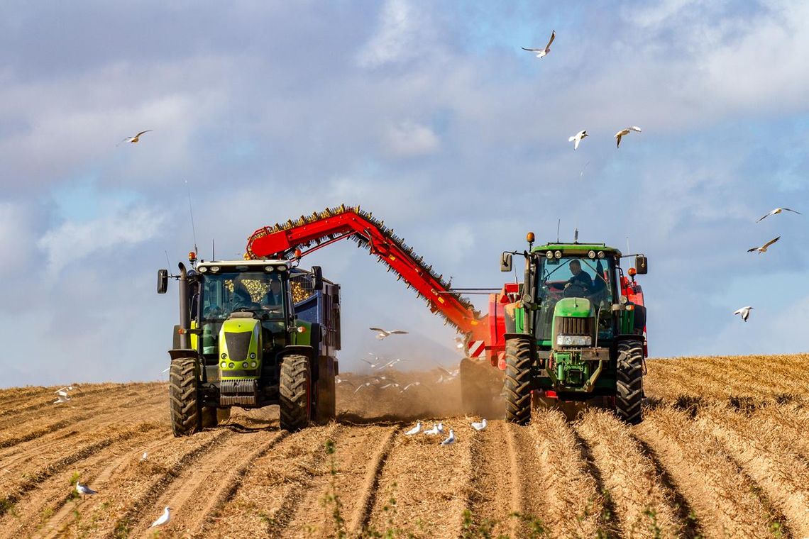 UK: Krajowe dotacje dla rolników zamiast unijnych 